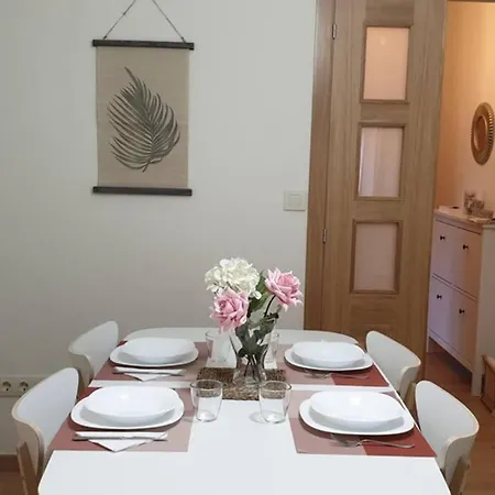 Apartament Ideal En Santiago